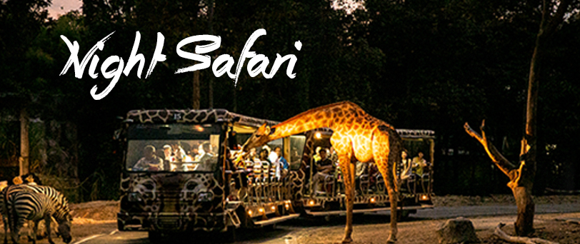 Chiang Mai Night Safari info,address,phone number,open time,Chiang Mai Night Safari shows,Chiang Mai Night Safari performing,
