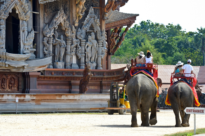 Sanctuary Of Truth Elephant Ride,Sanctuary Of Truth Q&A,Pattaya an elephant ride,Sanctuary Of   Truth elephant ride price,cost of The Sanctuary Of Truth elephant ride,Sanctuary Of Truth Elephant Ride info, Sanctuary Of Truth elephant trek,Sanctuary Of Truth child ticket