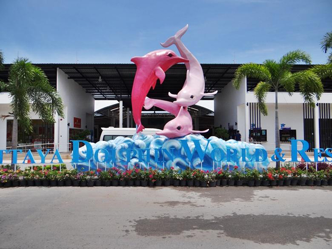  Pattaya Dolphin World & Resort daily price 2015,Pattaya Dolphin World ticket price,Pattaya Dolphin World   & Resort entrance fee,Pattaya Dolphin World open time,Pattaya Dolphin World show time,Pattaya Dolphin World infos,travel in Pattaya,Thailand attractions,Pattaya Dolphin Show