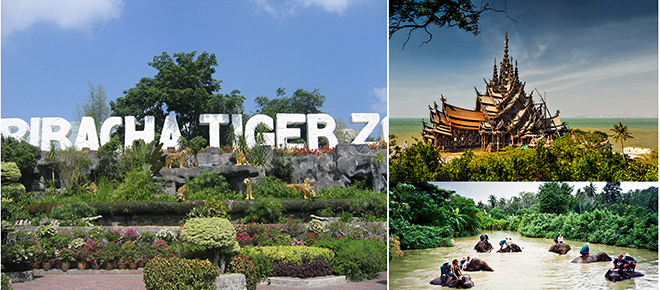 Attractions in Chonburi|Pattaya| you must visit,Sriracha Tiger Zoo ,Pattaya Elephant Village,The Sanctuary of Truth,Sriracha Tiger Zoo nearby attractions,attractions close to Sriracha Tiger Zoo,Sriracha Tiger Zoo E-Ticket