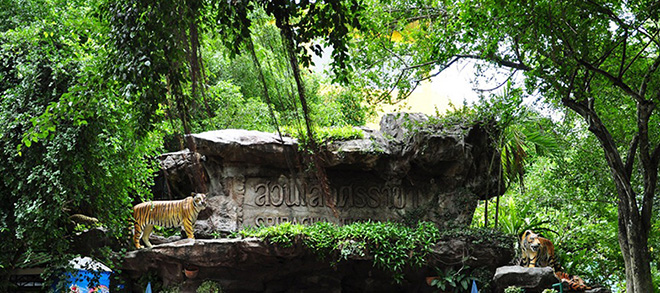 Attractions in Chonburi|Pattaya| you must visit,Sriracha Tiger Zoo ,Pattaya Elephant Village,The Sanctuary of Truth,Sriracha Tiger Zoo nearby attractions,attractions close to Sriracha Tiger Zoo,Sriracha Tiger Zoo E-Ticket