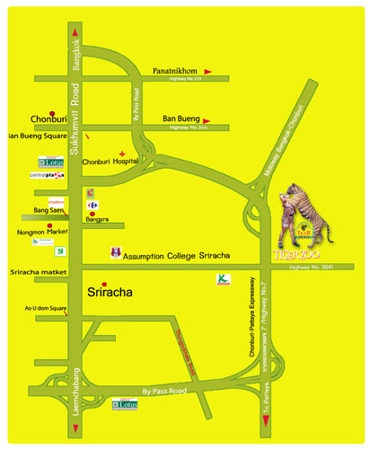 Sriracha Tiger Zoo Bus Routes & Time between Pattaya and Bangkok,Bus Routes & timetable between Pattaya and Bangkok,Bus Routes and timetable between Pattaya and Bangkok,Bangkok bus routes,,Pattaya bus routes,Sriracha Tiger Zoo E-Ticket,Sriracha Tiger Zoo,Sriracha Tiger Zoo map,Sriracha Tiger Zoo location,Sriracha Tiger Zoo traffic