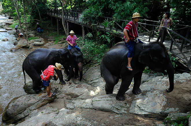 Songthaew in Ching Mai,tuk tuk in Chiang Mai,tu tu in Chiang Mai,Maesa Elephant Camp Traffic,Maesa Elephant Camp map,Maesa Elephant Camp ,Maesa Elephant Camp E-Ticket,Chiang Mai Traffic