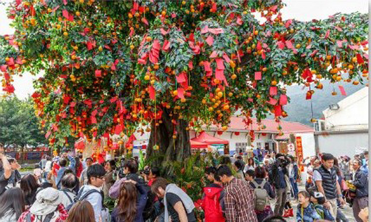 hk well wishing festival wishing tree