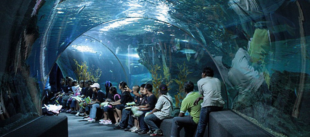 Sea Life Bangkok Ocean World ticket price, entrance fee, Siam Ocean World, Aquarium Bangkok, aquarium, Bangkok tours, tourist destinations in Bangkok Thailand, Ocean Word in Bangkok Thailand