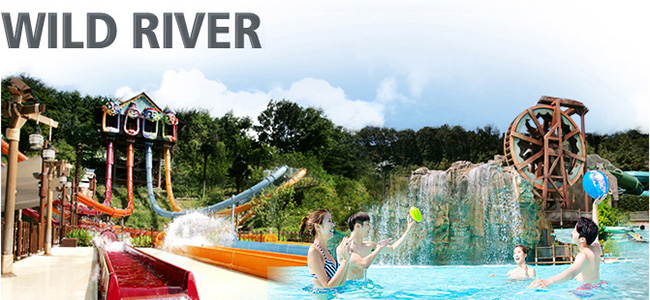 recommended water theme park caribbean bay gyeonggi-do,recommended water theme park caribbean bay gyeonggi-do 2016,best water theme park caribbean bay gyeonggi-do 2016,recommended water theme park caribbean bay gyeonggi-do 2016 summer,caribbean bay  gyeonggi-do 2016 summer,caribbean bay  gyeonggi-do  2016,must-see water theme park caribbean bay gyeonggi-do,recommended water theme park caribbean bay gyeonggi-do ticket,water theme park caribbean bay gyeonggi-do price,top water theme park caribbean bay gyeonggi-do