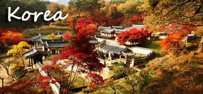 recommended Fall foliage in Korea 2016,best Fall foliage in Korea 2016,maple leaf in  Korea 2016,korea maple leaves 2016,korea fall 2016,Fall foliage in Korea 2016,korea maple season 2016,maple season korea 2016,maple season seoul 2016,maple season busan 2016,maple season jeju 2016,best Fall foliage in seoul 2016,best Fall foliage in busan 2016,best Fall foliage in jeju 2016,recommended Fall foliage in seoul 2016,recommended Fall foliage in jeju 201,