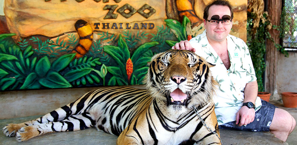Sriracha Tiger Zoo Lowest Price, Sriracha Tiger Zoo Discount 2016, Sriracha Tiger Zoo Coupon, Special Price of Sriracha Tiger Zoo, Sriracha Tiger Zoo Pattaya on final sale, Sriracha Tiger Zoo address, Sriracha Tiger Zoo Pattaya ticket booking, Sriracha Tiger Zoo for Halloween, best places to spend Halloween holidays, Sriracha Tiger Zoo Pattaya Booking, Sriracha Tiger Zoo Pattaya Address, Sriracha Tiger Zoo Pattaya Official Price, Sriracha Tiger Zoo Pattaya Map, Sriracha Tiger Zoo Pattaya Review, Sriracha Tiger Zoo Pattaya to Spend Halloween Holidays