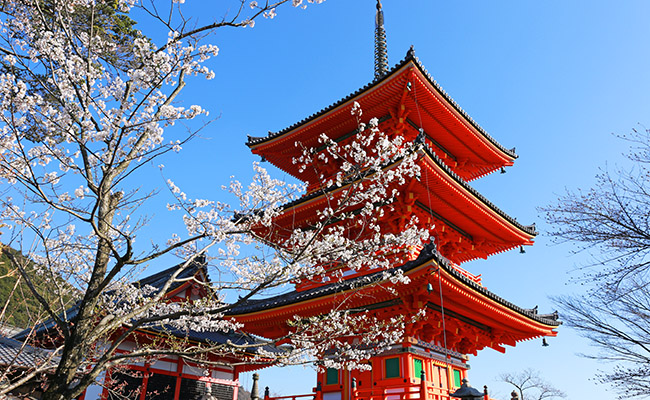 Kyoto Best Temples & Shrines Recommed