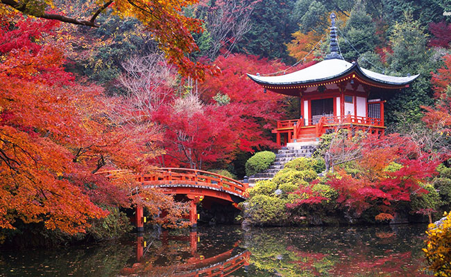 Day Tour Kyoto FAQS on Kinkakuji & Ginkakuji and Kiyomizudera Temple