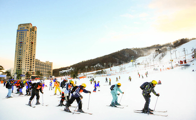 Where to Live in Vivaldi Park 2017, daemyung resort accommodation, Vivaldi Park accommodation, Daemyung ski world accommodation, recommended hotels near daemyung Reaort, Vivaldi Park nearby hotels, where to live in Daemyung Resort, Daemyung Resoet vivaldi park accommodation, Daemyung Resort Ski world accommodation, where to live in Daemuyung Ski World, recommended hotels near Daemyung Vivaldi Park Ski World, where to stay in vivaldi park ski world, Korea ski travel accommodation, Daemyung reosrt vivaldi park traffic, Daemyung reosrt vivaldi park location