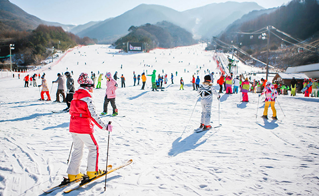 Everything You Need to Know About High1 Resort,High1 Resort full-info,High1 Ski Resort introduction,High1 Resort main attractions,High1 Resort traffic info,High1 Resort lodging info,High1 ski Resort hotel info,High1 ski Resort ticket info,High1 Resort accommodation info,High1 Resort traffic guide 2017,Korea most recommended winter resorts,Incheon airport to High1 Resort,Seoul to High1 Resort,shuttle bus to High1 Resort from seoul,ICN shuttle bus to High1 Resort timetable 2017,High1 Resort car rental,food options in High1 Resort,restaurants near High1 Resort,High1 ski Resort entrance fee,how to get to High1 Resort,