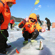 Hwacheon Sancheoneo Ice Festival 2017 Ice Fishing Day Tour