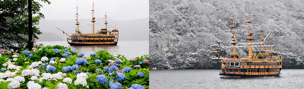 Odawara Castle & Strawberries Picking & Hakone Sightseeing Cruise Day Tour from Tokyo