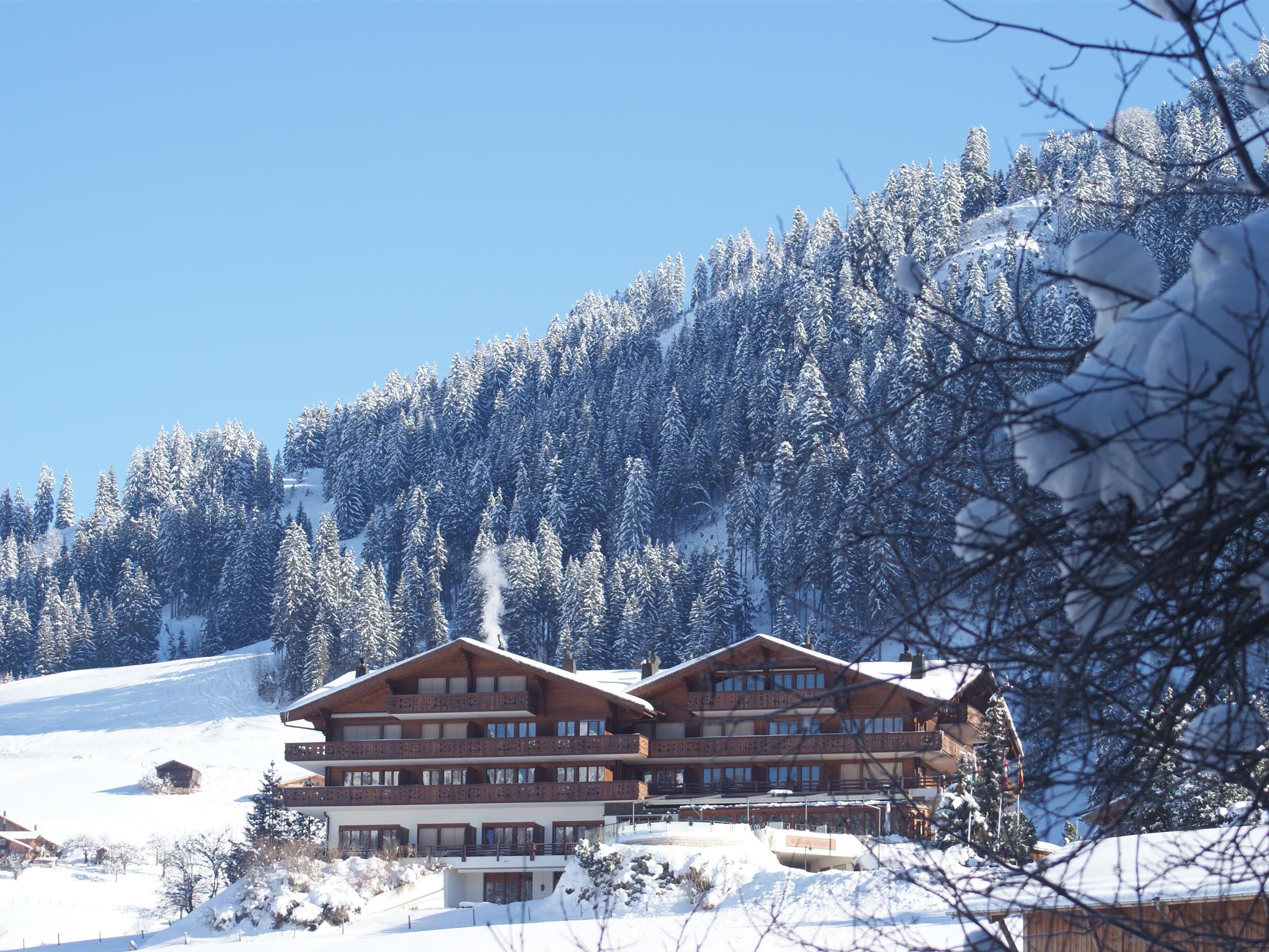Le Grand Chalet Switzerland FAQ 2017, What facilities are there in Le Grand Chalet Switzerland 2017, What Languages Spoken are Supported in Le Grand Chalet Switzerland 2017, Which payment cards are accepted in Le Grand Chalet Switzerland , Switzerland Le Grand Chalet room facilities and services Q&A 2017, Switzerland Le Grand Chalet online booking services 2017, Switzerland Le Grand Chalet address 2017, Switzerland Le Grand Chalet telephone number 2017,Switzerland Le Grand Chalet map 2017, Switzerland Le Grand Chalet traffic guide 2017, how to go Switzerland Le Grand Chalet, Switzerland Le Grand Chalet booking online 2017, Switzerland Le Grand Chalet room types 2017.