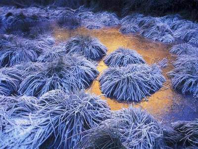 Heavy frost in Las Médulas, Spain (© Juan Carlos Muñoz/age fotostock)
