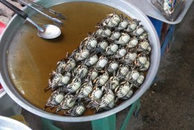 Thai style crab and onion, "Bu pad hom yai",SeafoodMenu price, MailBox, Phone Number, food consumption 