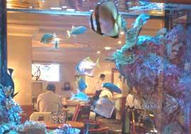 Dotcod Seafood Restaurant & Oyster Barin Hong Kong,Restaurant,Menu price, MailBox,Phone Number,food consumption
