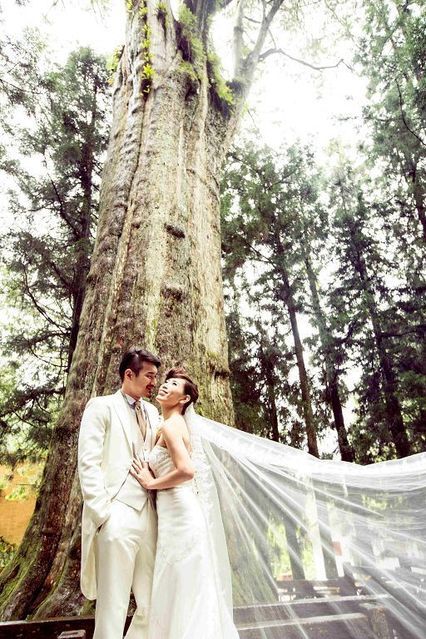 Love in Alishan ─ Wedding under Sacred Tree02
